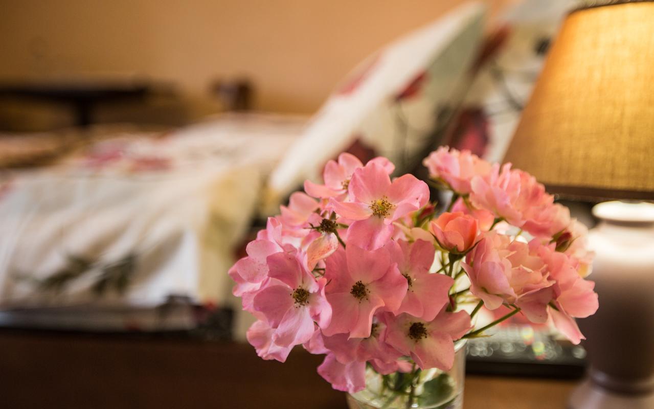 Fazenda Na Goncharakh Hotel Honcsari Kültér fotó